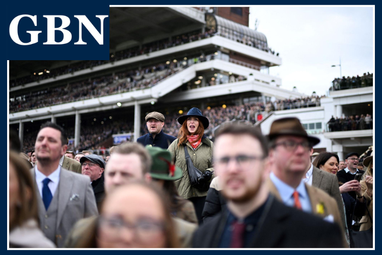 Cheltenham News Today Festival Highlights Rising Costs and Future Plans